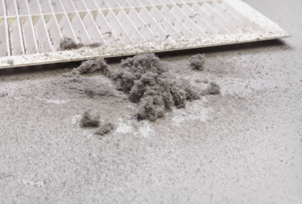 Best Local Air Duct Cleaning Services  in Hayden, AL