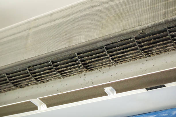 Best Home Air Vent Cleaning  in Hayden, AL